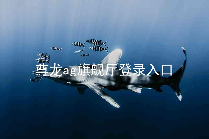 尊龙ag旗舰厅登录入口
