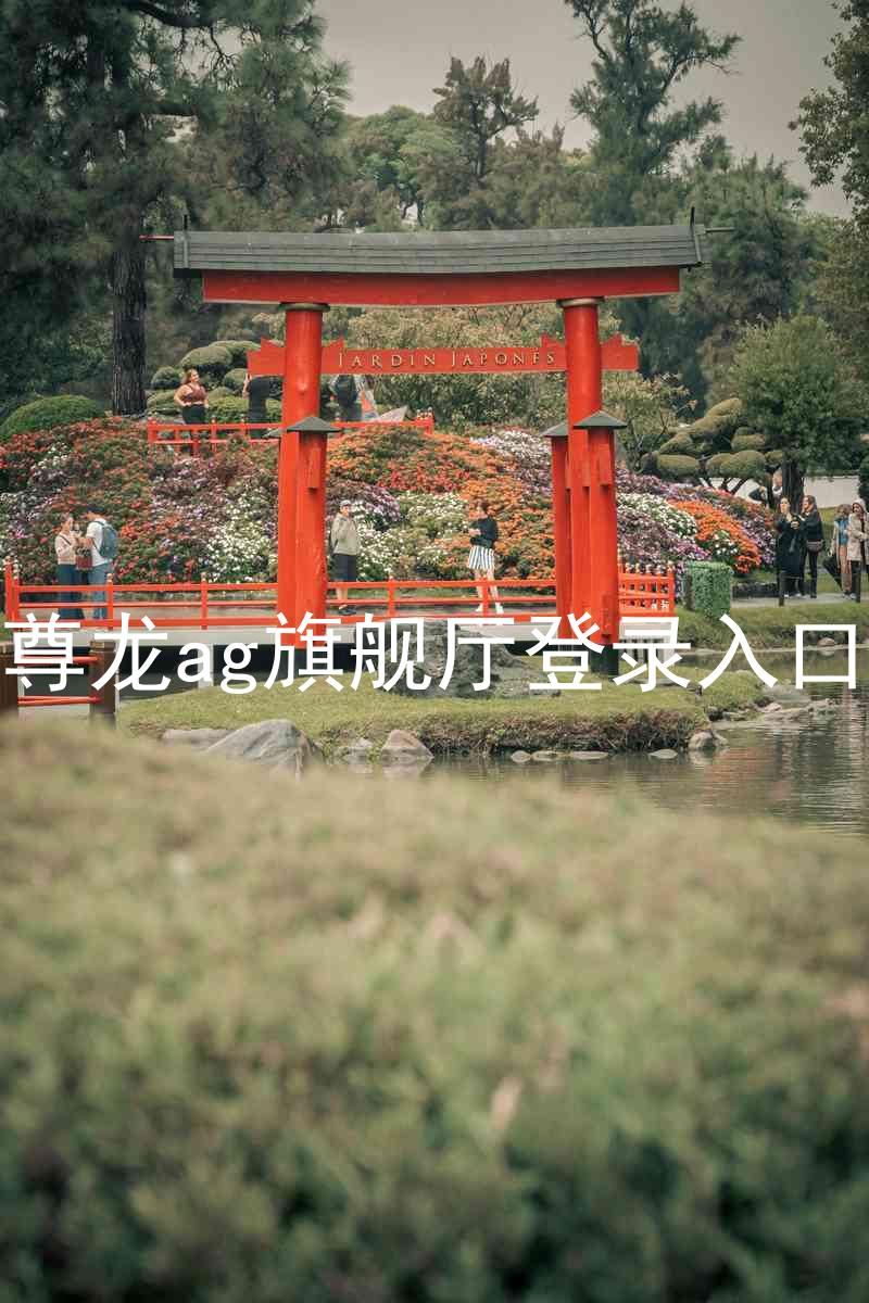 尊龙ag旗舰厅登录入口