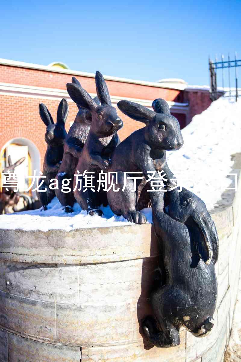 尊龙ag旗舰厅登录入口